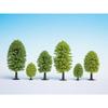 Deciduous Trees - NOCH - 32801 - 25 Units - 3.5-5 Cm - Green Leaves - Mixed