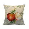 Orange Fruit In Modern Minimalist Style Digital Printing Short Plush Pillow Covers For Car Sofa Office Cushion Cover Home Goods