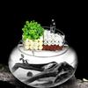 High Transparency Acrylic Fish Tank Top Filter Aquarium Water Purifier  Round Fish Tank