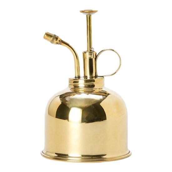 

Винтажная бутылка для воды из нержавеющей стали, суккулентные растения, опрыскивающая банка, садовый инструмент золотистый