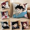 D-Dandadan Couple Pillow Case Silky Elegant Comfort Sofa Bed Invisible Zipper