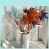 Artificial Australis Phragmites Plant Plastic Flower Living Room Decoration