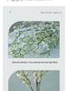 Artificial Silk Snow Willow Flower Arrangement for Indoor Decoration