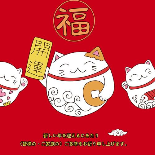 WHDZ Car Dent Repair Tool Set, Dent Repair Tools, Repair Tools, Dent Repair, Car Repair, Dent Repair, Car Repair Tools, Car Repair, Extraction Tools,