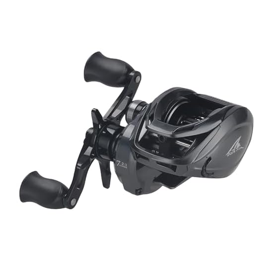 BAVBAV Baitcasting Reel, Long-Cast Compatible, 12-Level Magnetic Brake, 4+1BB, 180g, 7.2:1 Gear Rati