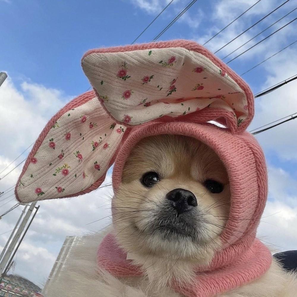Pet Head Wear Cute Rabbit Ears Pet Hat Warm Soft Elastic Knitted Pet Hat Comfortable Floral Pattern Pet Headgear Party Costume