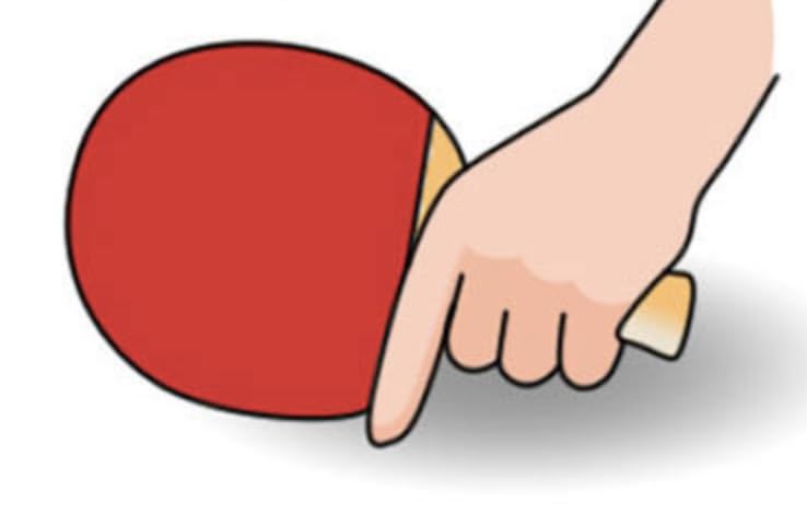 Table Tennis Racket Shake Hand Made in China with Case Rubber Carbon Plywood 204g Flare Grip [Mui Bien] Non-Adhesive
