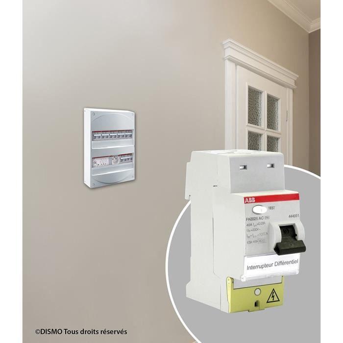 ABB Interrupteur Différentiel À Bornes Décalées Type AC 40 A