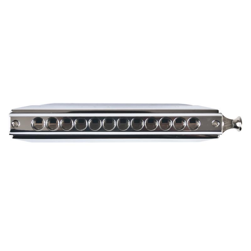 Swan Chromatic Harmonica - 10 or 12 Hole, Professional & Student Wind Instrument