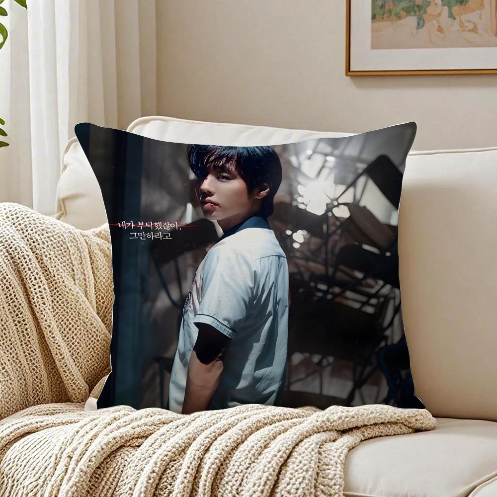 Webtoon Gritty 1 WWeak HHero Class 1 Cushion Cover Pillowcase Antidustmite living Room Sofa Decor Cushion Room