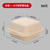 SIVIR Disposable Pulp Lunch Box