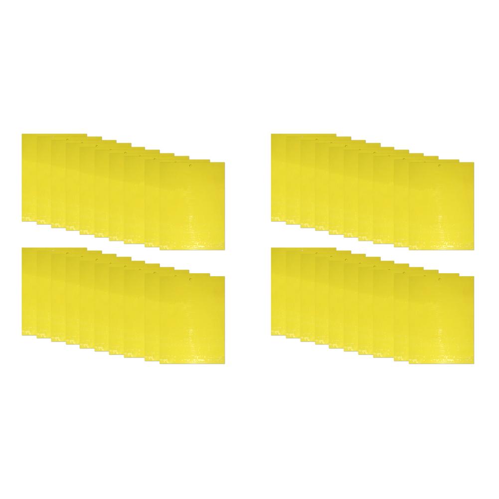 20/40/60/80/100Pcs Strong Flies Traps Bugs Sticky Board Catching Aphid Insects Pest Killer