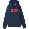 Levis Comfortable Casual Letter Logo Knitted Hoodie Long Sleeve Sweatshirt Men Sweatshirt 003YT-0001
