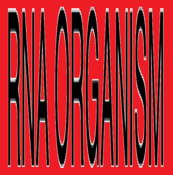 

LP Record R.N.A. ORGANISM Unaffected Mixes Plus SWDTR11 onon 2021 Japan Dance Electronica