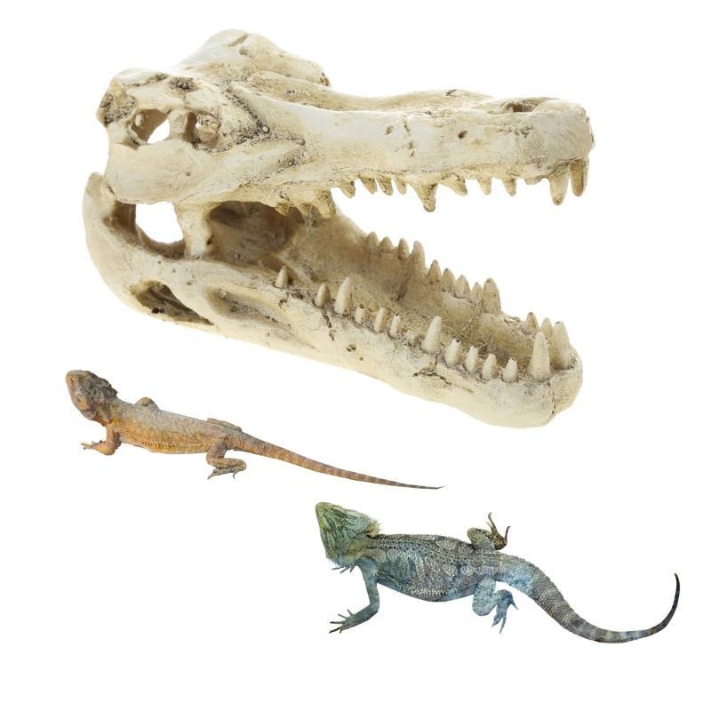 Resin Skull Aquarium Decorations for Fish for Tank Simulation Skeleton Cave Ornament Hideout for Shrimp Fish