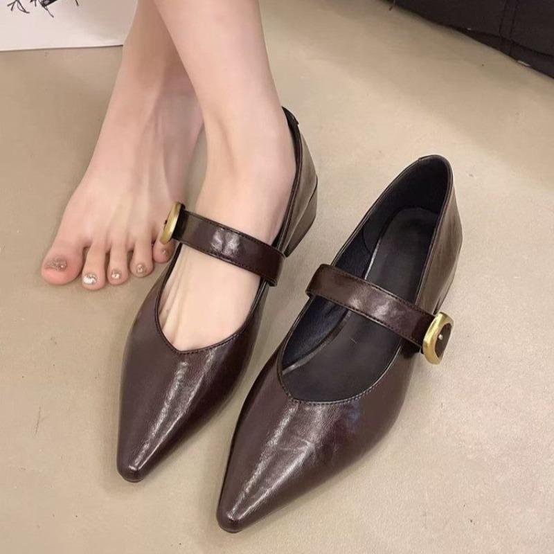 Fashion 2025 New Pointed Mary Jane Single Shoes Women's Spring New Fashion Retro Shallow Mouth Thick Heel Small  Shoes