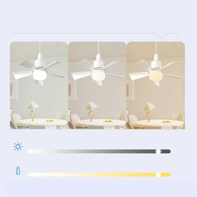 Multifunkční stropní ventilátorové světlo s dálkovým 3-úrovňovým nastavením ventilátoru 2 v 1 lampa pro kuchyňskou ložnici ubytovnu