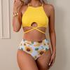 Women's High-Waisted Lace-Up Two-Piece Bikini Swimsuit - Sexy, Printed, Split Design
