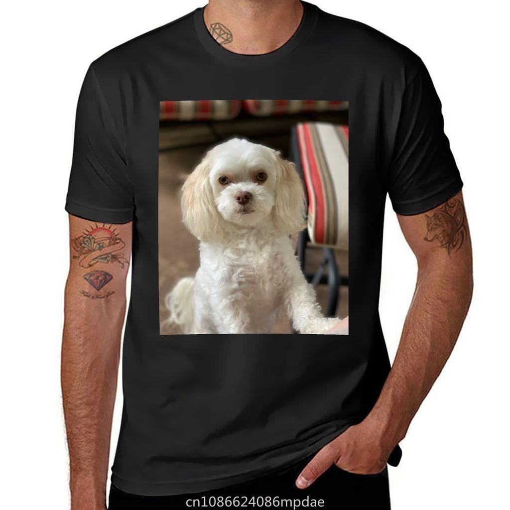 Maltipoo wants T-Shirt blanks anime clothes new edition tshirts for men