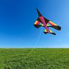 Modern Minimalist Style Colorful Triangular Kite For Children And Adults