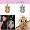 Fashionable Long Owl Pendant Sweater Necklace In Titanium Steel For Stylish Outfits