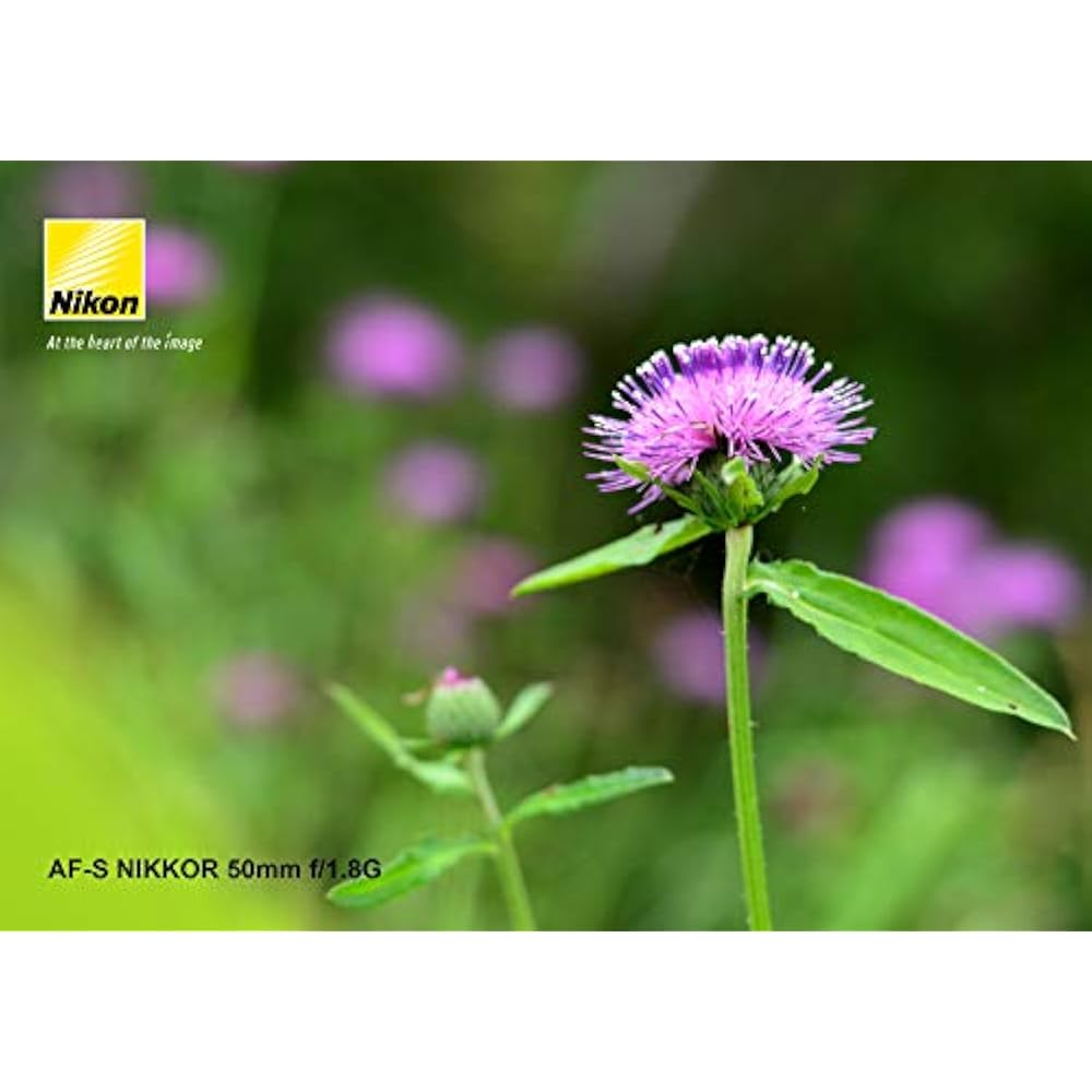 Nikon Single Focus Lens AF-S NIKKOR 50mm f/1.8g Full Size Compatible AF-S 50/1.8G