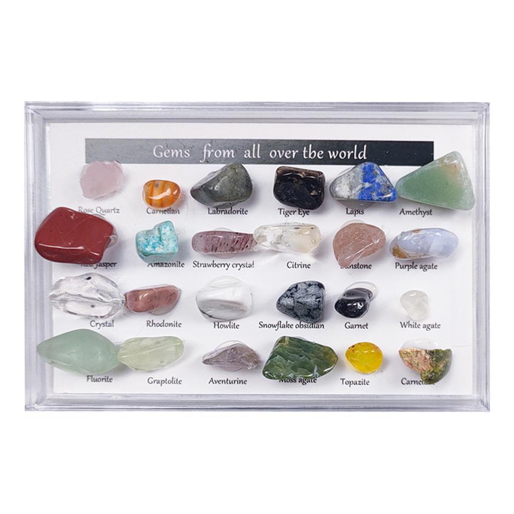 24Pc Rock & Mineral Collection with Collector Box/Display Case, ID Sheet, Gemstone Crystal Kit, STEM Geology Science Education