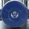 Boxing Training Guard Impact-Ready Round Striking Strike Pad Padded Punch