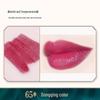 DIY Lipstick Superfine Plant-Based Color-Changing Powder