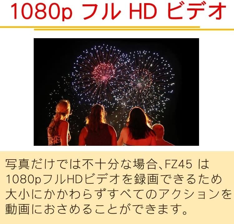 Kodak Compact Digital Camera FZ45 AA Battery Operated Red Battery SD Card Pouch of 4 + + + (Grey) (Total Items)