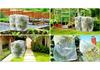 Thickened Agricultural Insect & Bird Proof Net for Greenhouses & Fruit Trees