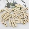 100 Natural Wood Photo Clips: Assorted Sizes for DIY Decoration, Small Wooden Clips in Natural Color