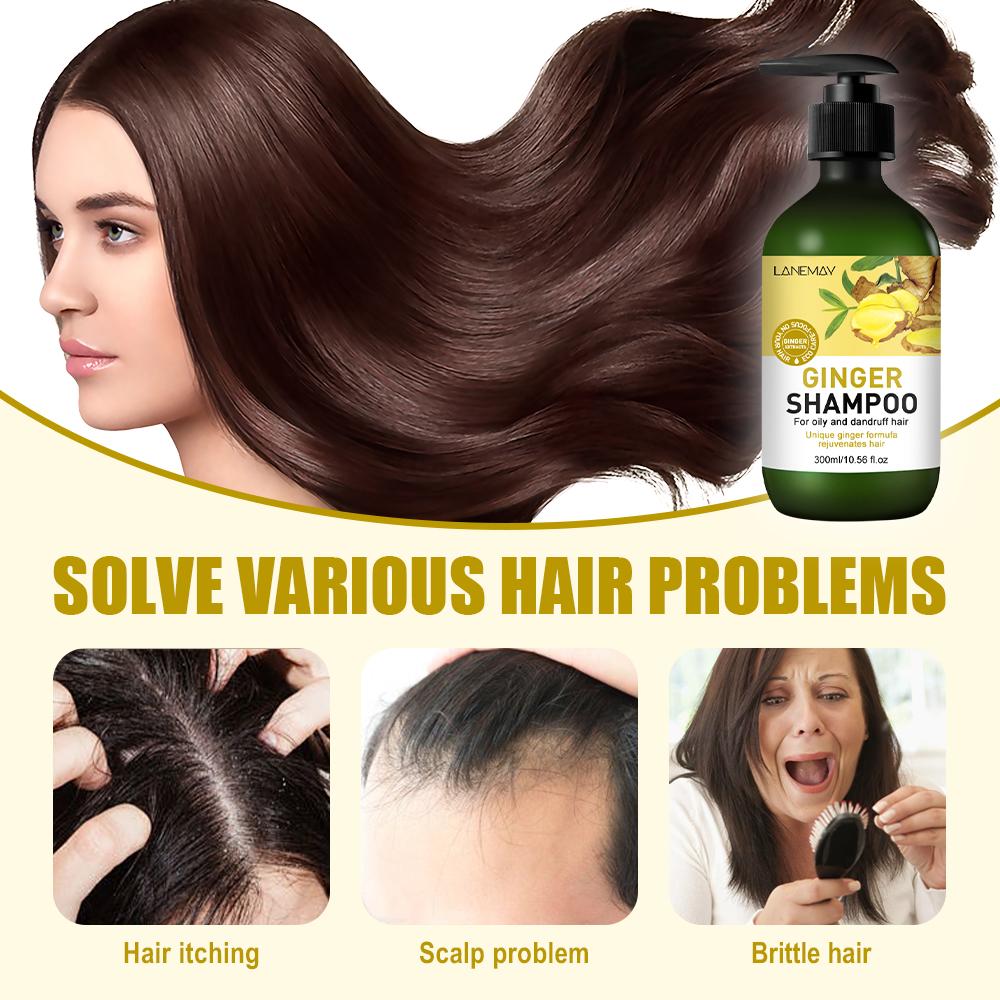 Ingwer-Shampoo – Tiefenreinigung und Fettentfernung – Macht die Haarwurzeln geschmeidiger – Für fettiges und schuppiges Haar