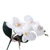 Vivid Simulation Phalaenopsis Realistic Fake Butterfly Orchid Artificial Moth Orchids  Bedroom