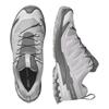 L49199100 Salomon XA Pro 3D V9 GORE-TEX "Alloy/Castlerock" (Men's)