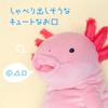 Shinada Global Mochi Series Mochi Upa Pink (Large) 22 x 22 x 30cm Plush Axolotl Animal MOUP-0350P