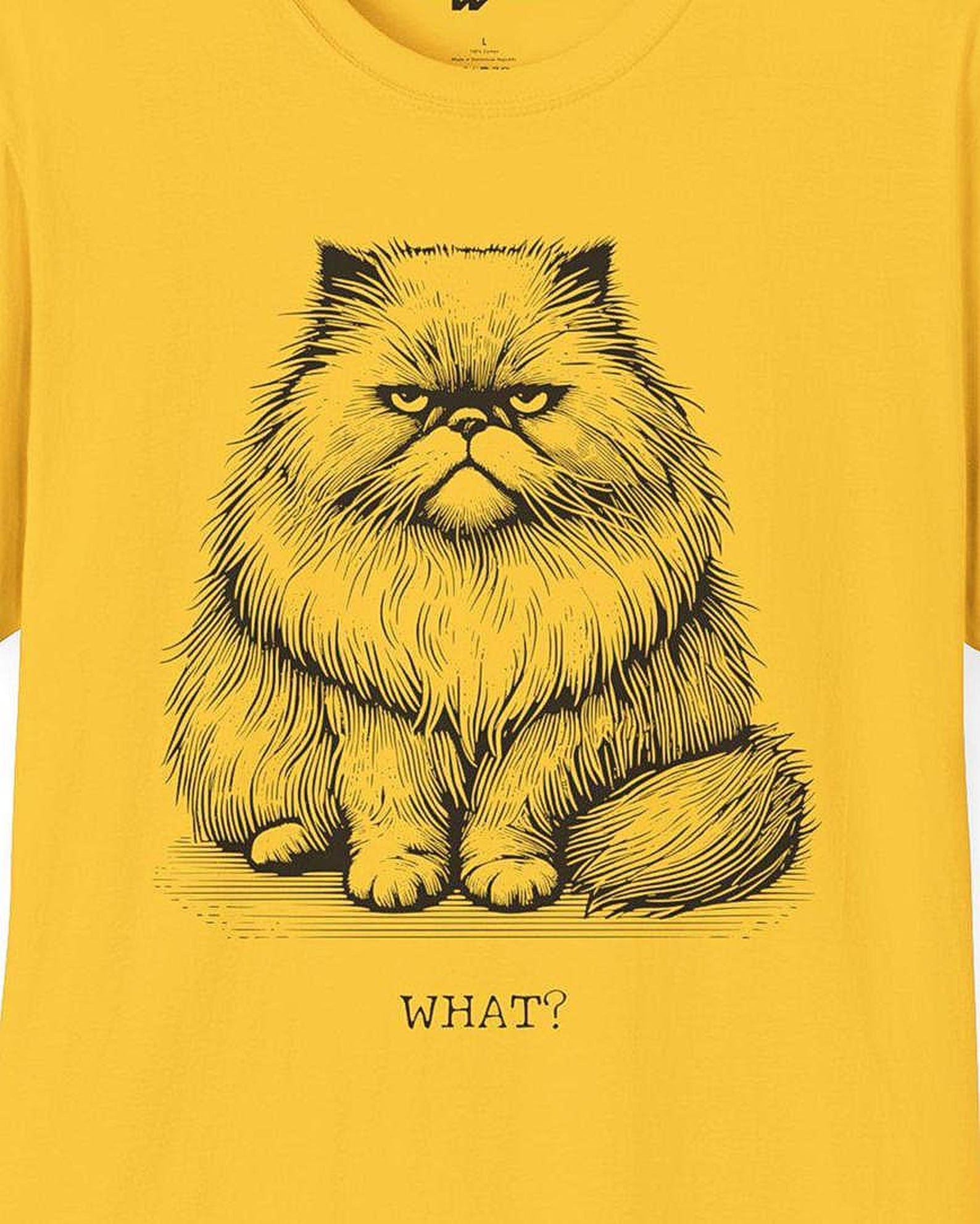WHAT?/ Grumpy Cat T-Shirt/ Unisex Softstyle T-Shirt S