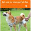 Pet Supplies: Dog Leash, 3m Automatic Telescopic Cat Leash, Dog Leash for Pet Outings, 5-meter Leash, Dog Chain
