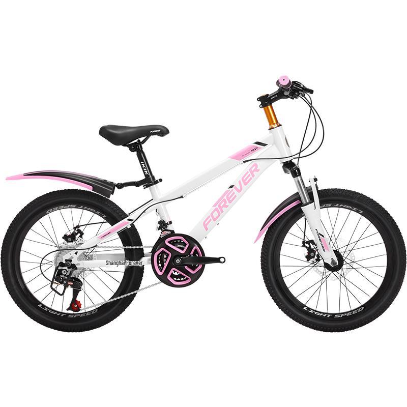 Permanent Youth 24-Speed Mountain Bike