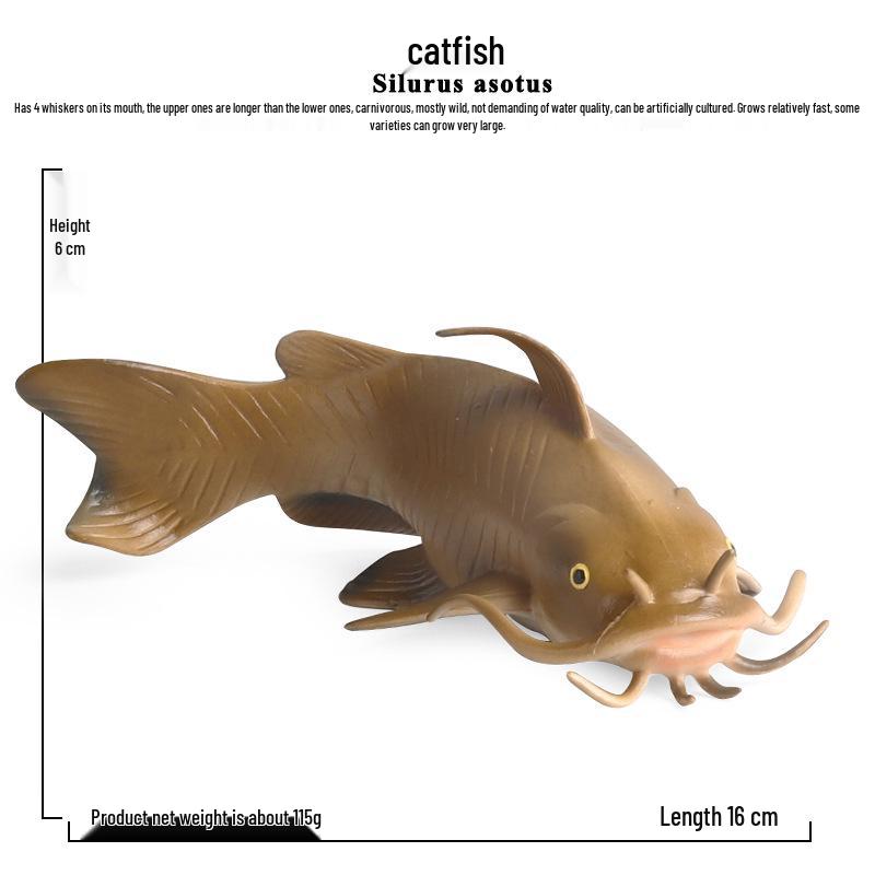Children's Cognitive Catfish Model Toy - Whiskered Freshwater Fish Ornament