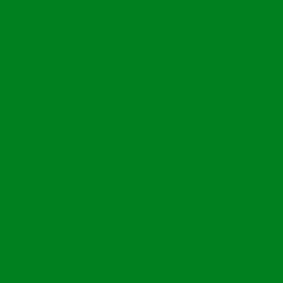 Decoration Ink Pad - STAZON - Forest Green - 25 Shades - Non-Absorbent Surfaces