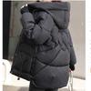 Cotton-padded Jacket Women's Korean Version of The Loose Hooded Padded Jacket Loose All-match Thick Warm Jacket