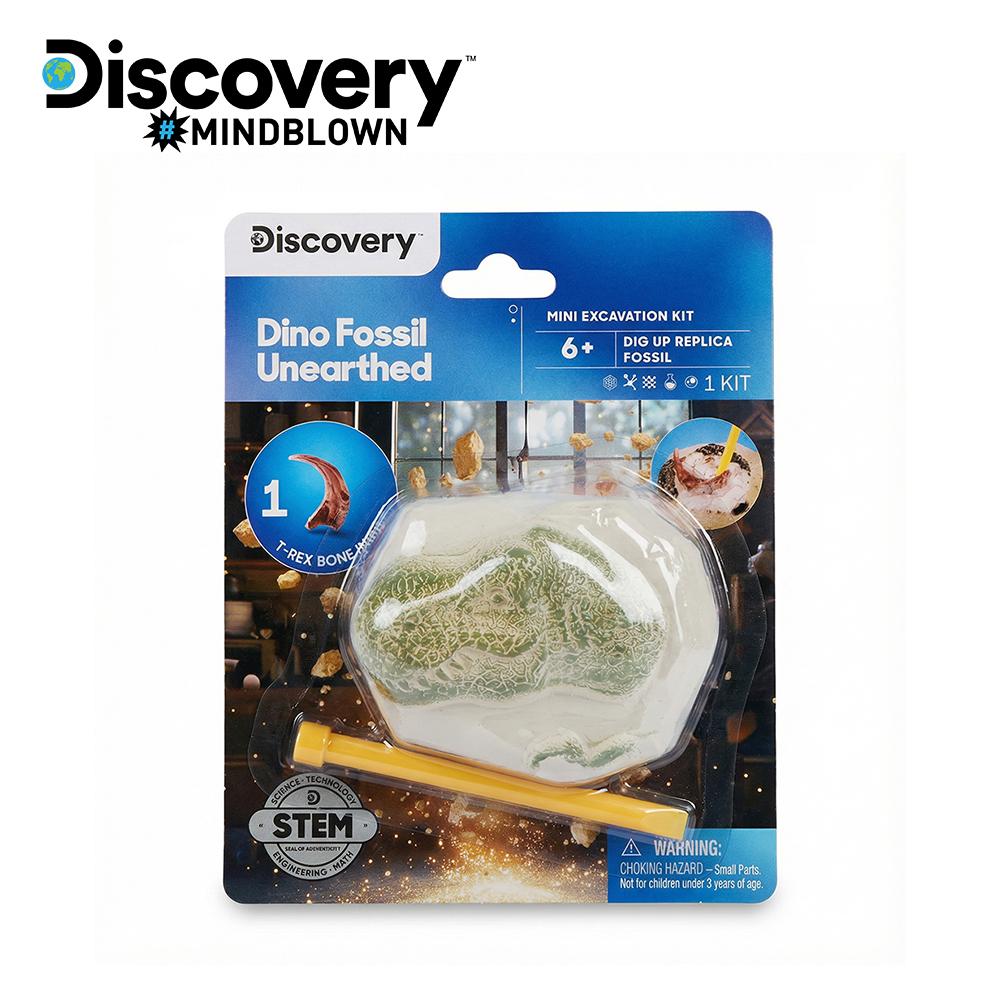 [toytron] Discovery Mini Kit Dinosaur Fossil Excavation