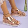 Hot Selling Sandals Platform Shoes for Women 2025 Summer Peep Toe Wedge Women's Silver Luxury  Hemp Light Casual Ladies Sandal