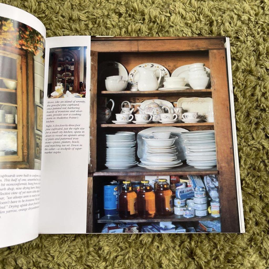 [USED] Foreign Books: American Family Style