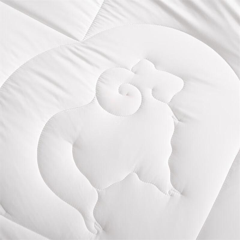 Mercury Home Textiles DH Weil Antibacterial Australian Wool Quilt