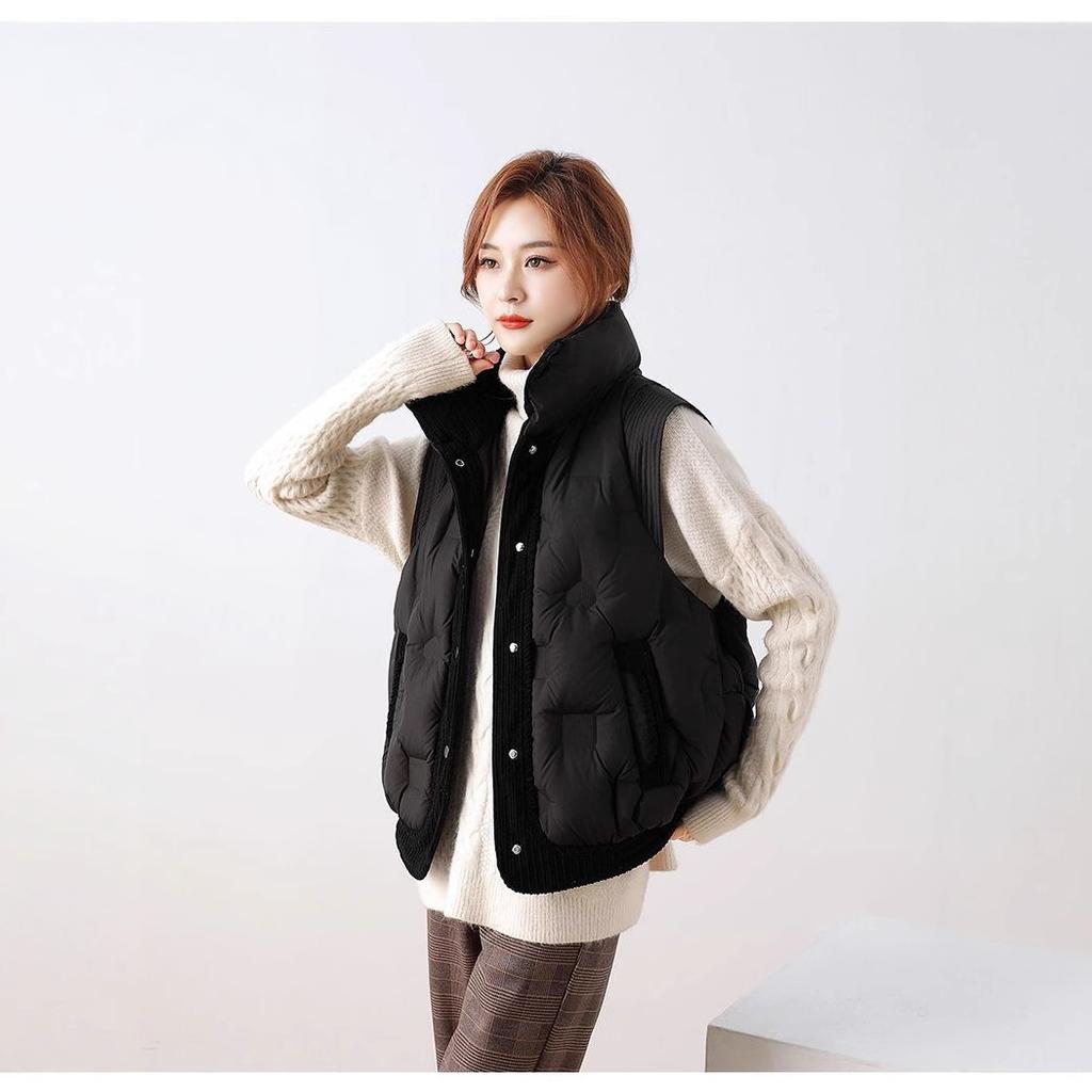 Down vest women's autumn and winter new stand-up collar small fashionable versatile outer vest jacket tide