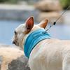 Pet Dog Instant Cooling Scarf Summer Cat Cooling Bandana Collar Ice Towels for Small Medium Large Dogs Cool Collars Pet Supplies