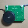 Crystal Radio: A Passive, Electricity-Free Radio Using a Diode Instead of a Crystal