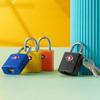 Anti-Theft Luggage Lock with 2 Keys Cabinet Lock High Quality Customs Lock  for Travel